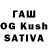 Псилоцибиновые грибы Cubensis Egor_65RUS