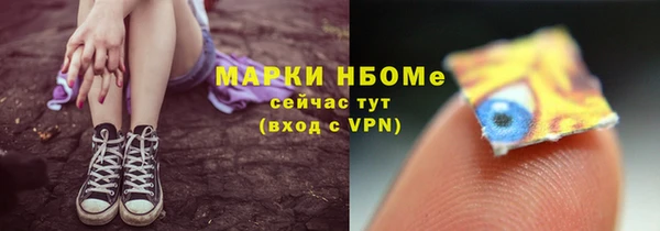 ГАЛЛЮЦИНОГЕННЫЕ ГРИБЫ Белокуриха