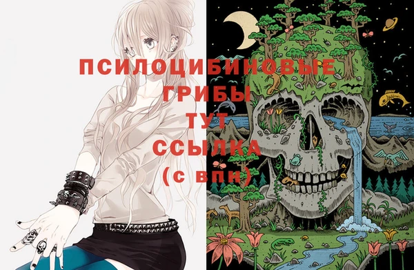 бошки Дмитриев