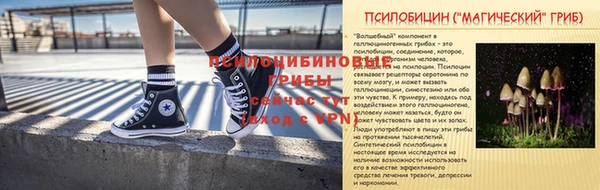 винт Баксан