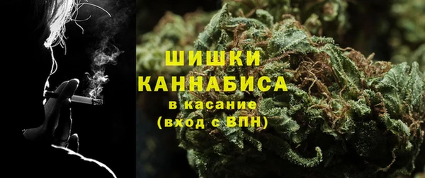 ГАЛЛЮЦИНОГЕННЫЕ ГРИБЫ Белокуриха